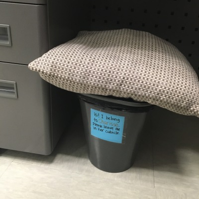 Put a pillow on top of the trashcan.